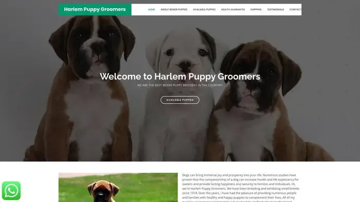 Screenshot of