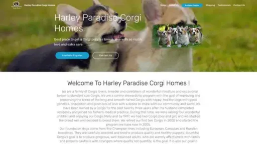 Screenshot of