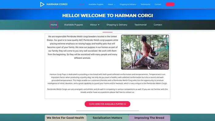 Screenshot of