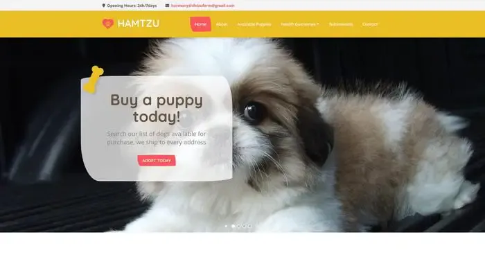 Screenshot of