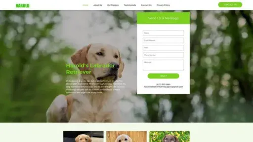 Screenshot of