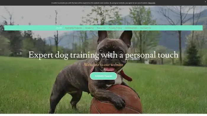 Screenshot of
