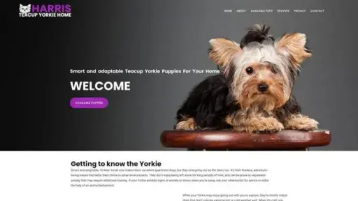 Screenshot of