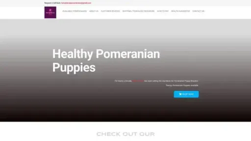 Screenshot of
