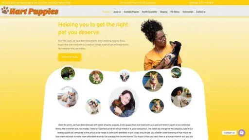 Screenshot of