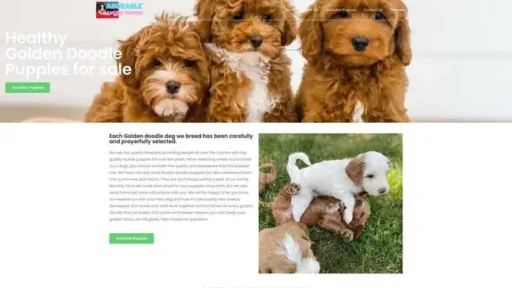Screenshot of