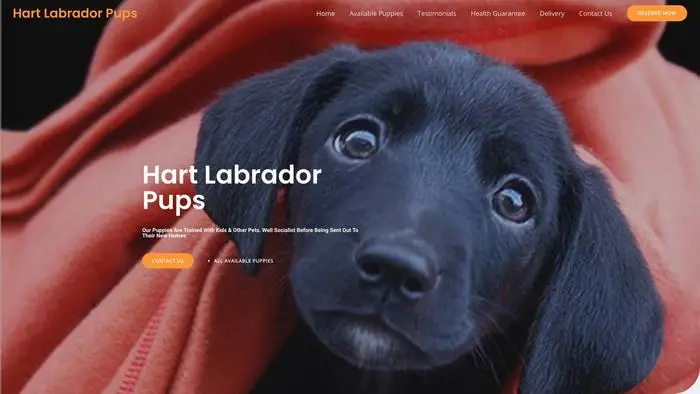 Screenshot of