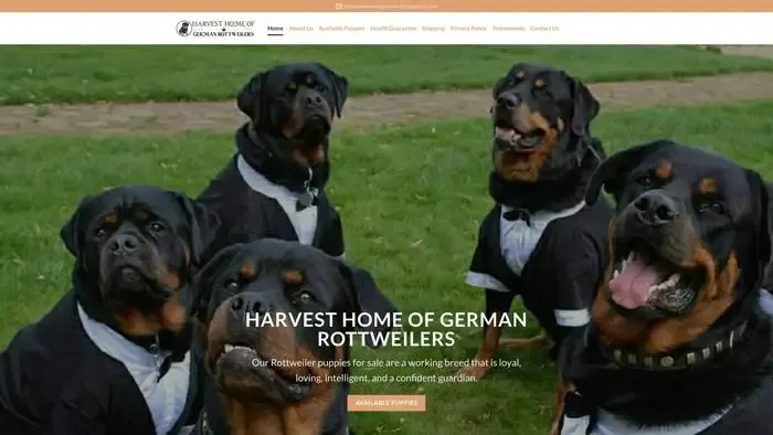 Screenshot of