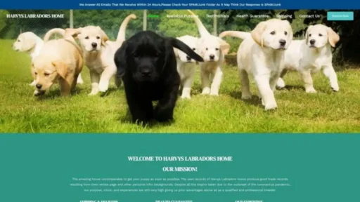 Screenshot of||