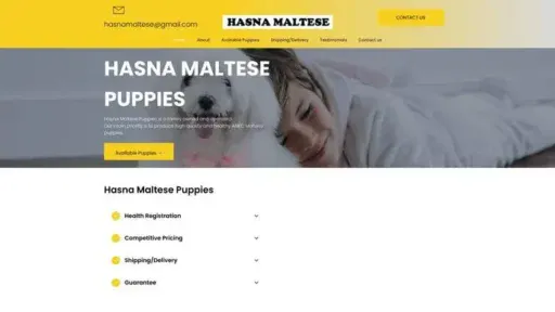 Screenshot of