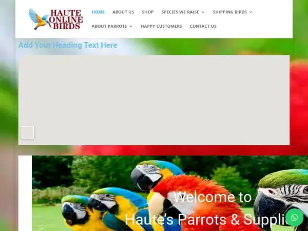 Screenshot of