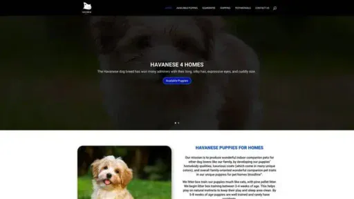 Screenshot of