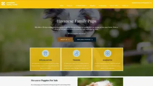 Screenshot of