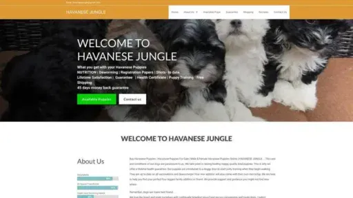 Screenshot of