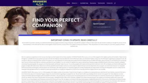 Screenshot of