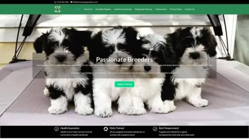 Screenshot of