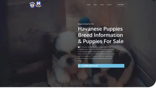 Screenshot of