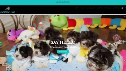 Screenshot of