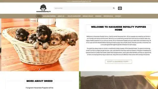 Screenshot of
