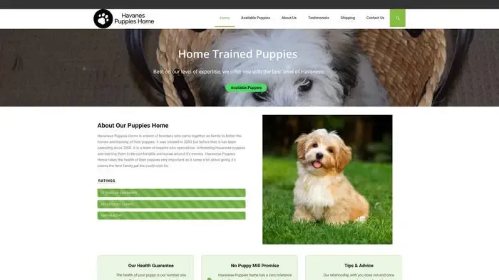 Screenshot of