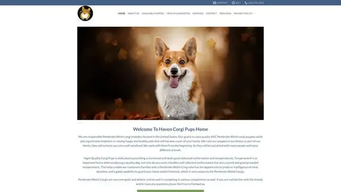 Screenshot of