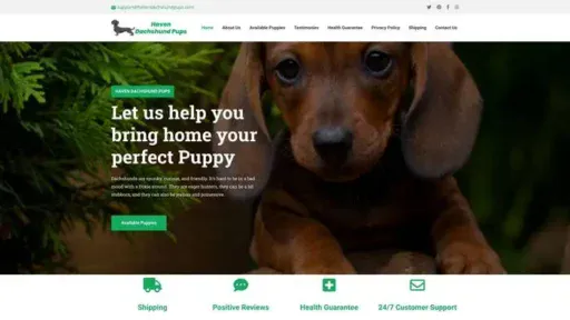 Screenshot of