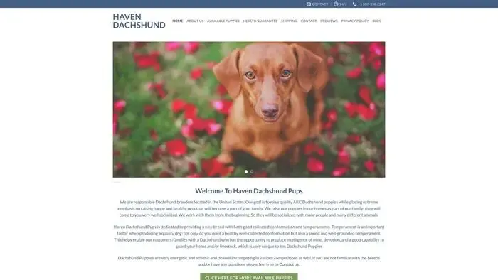 Screenshot of