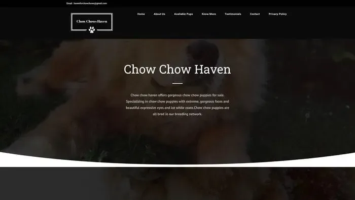 Screenshot of
