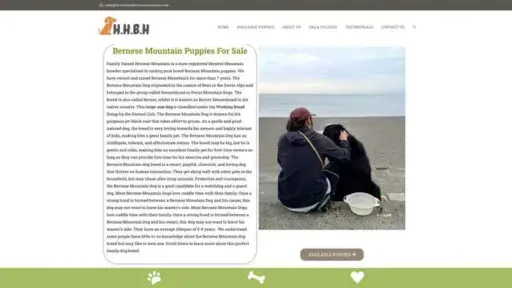 Screenshot of