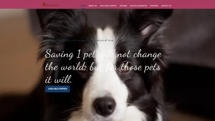 Screenshot of