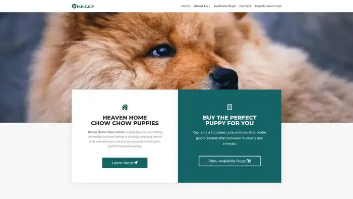 Screenshot of