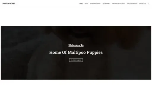 Screenshot of