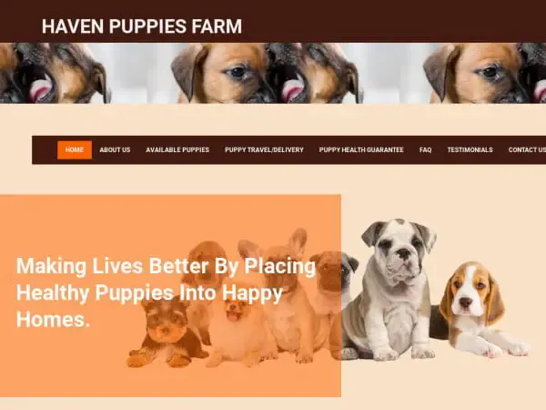 Screenshot of