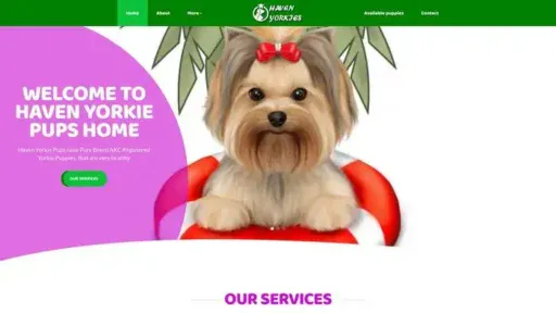 Screenshot of