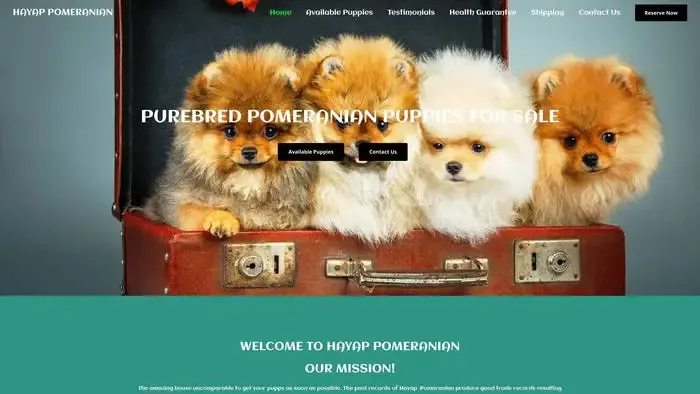 Screenshot of