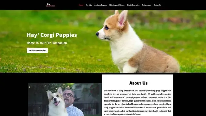 Screenshot of
