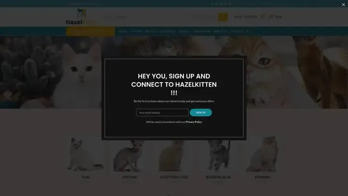 Screenshot of
