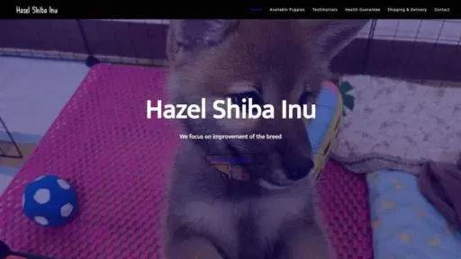 Screenshot of