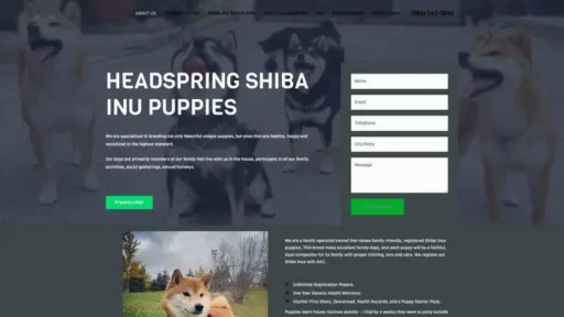 Screenshot of