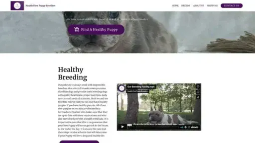 Screenshot of