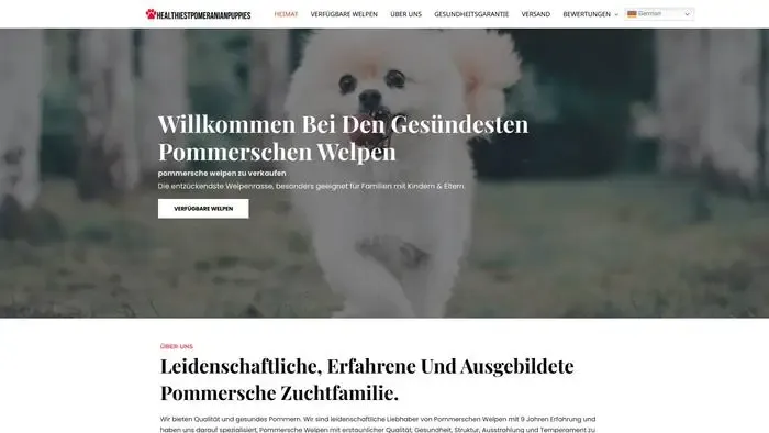 Screenshot of