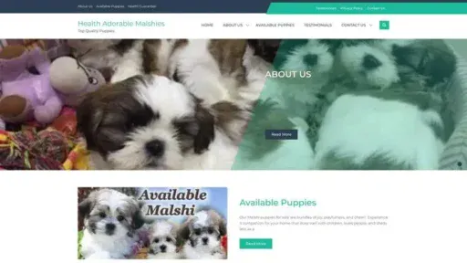 Screenshot of