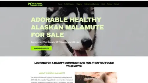 Screenshot of