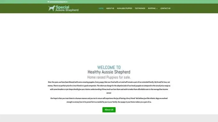 Screenshot of