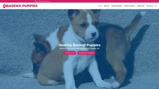 Screenshot of