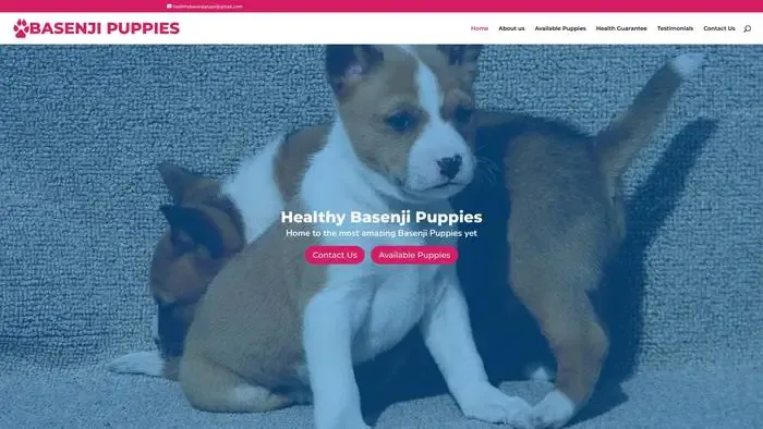 Screenshot of