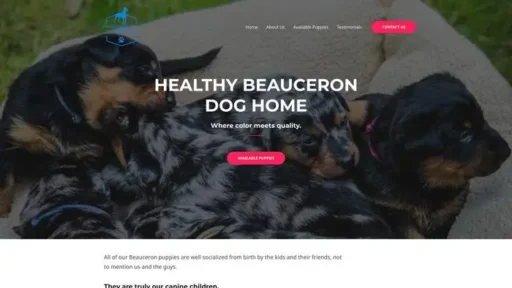 Screenshot of