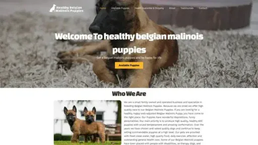 Screenshot of