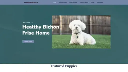 Screenshot of