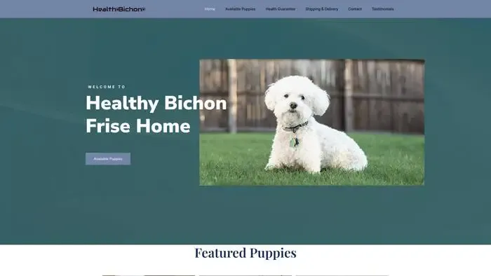 Screenshot of